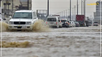 قبل احتفالات اليوم الوطني.. الأرصاد تكشف توقعات الطقس لليوم الوطني السعودي 2025 دليل كامل للمحتفلين 1